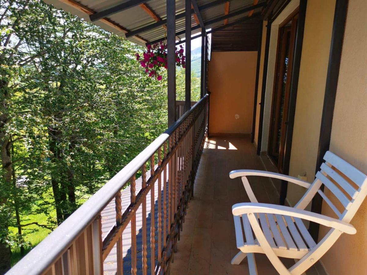 Gorska Vila Apartments Žabljak Εξωτερικό φωτογραφία
