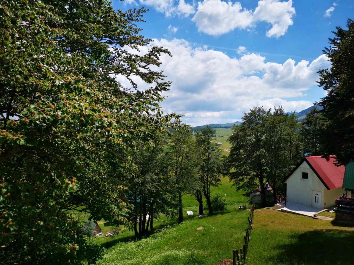 Gorska Vila Apartments Žabljak Εξωτερικό φωτογραφία