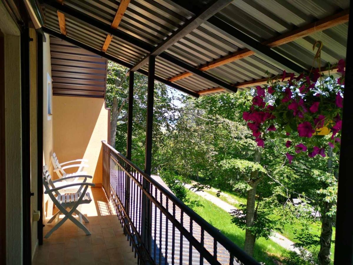 Gorska Vila Apartments Žabljak Εξωτερικό φωτογραφία