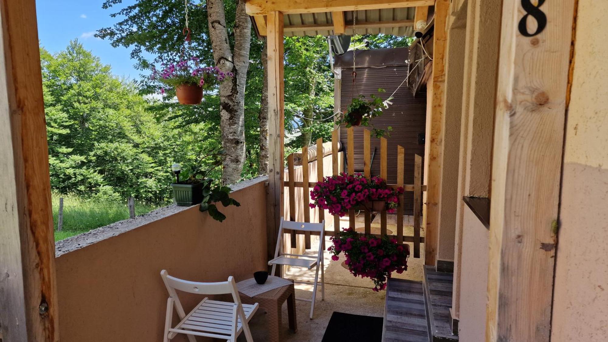Gorska Vila Apartments Žabljak Εξωτερικό φωτογραφία