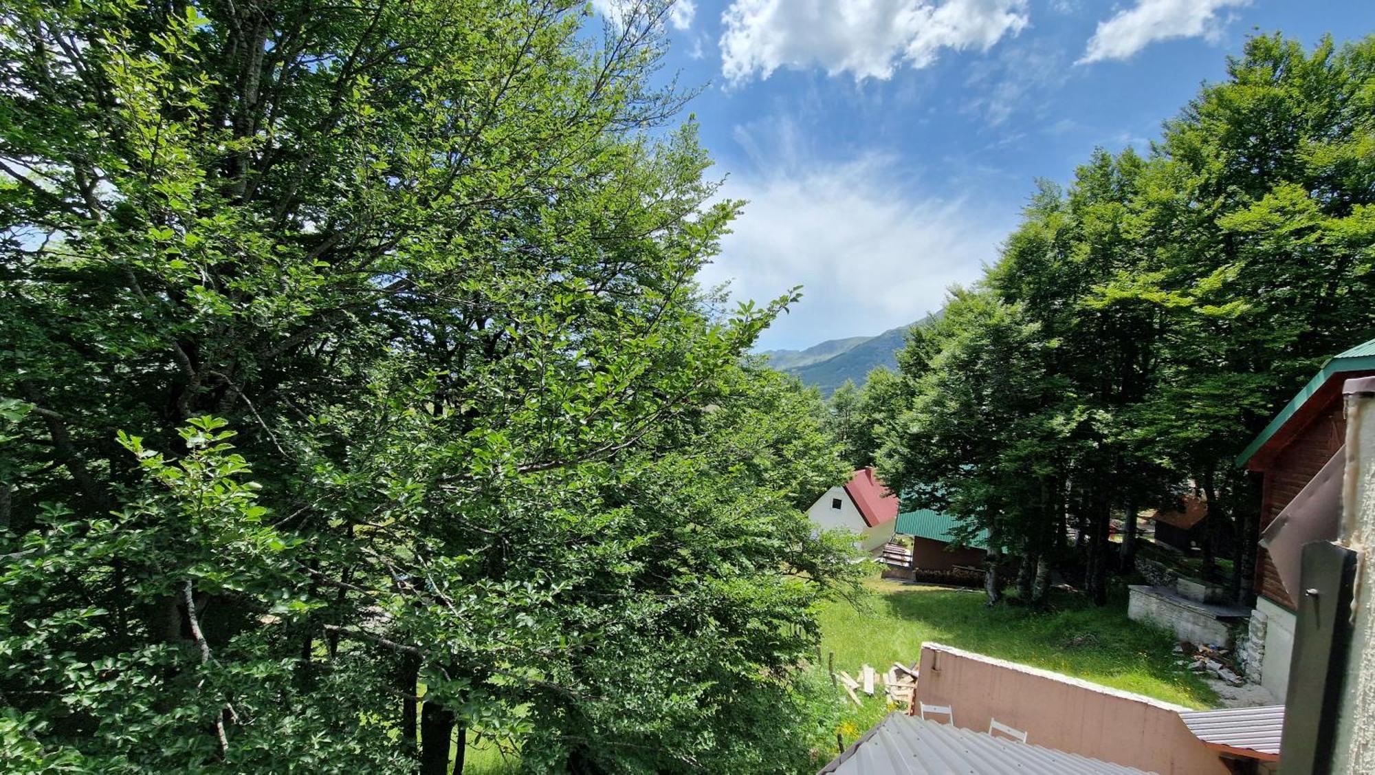 Gorska Vila Apartments Žabljak Δωμάτιο φωτογραφία